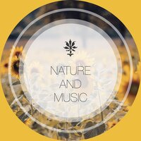 Mindful Birds - Nature Sounds & Relaxing Music Therapy & Música Relajante
