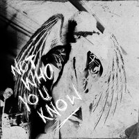 NWYK - Ethan Low