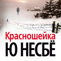 Ю Несбё. «Красношейка». Часть 7 - Иван Литвинов