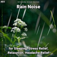 Sweet Echoes - Rain for Deep Sleep & Rain Sounds & Nature Sounds