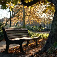 Gentle Chill Lofi Tranquility - Love Lofi Couple & Relaxing Morning Music & Relax in Nature