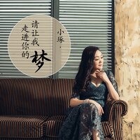 请让我走进你的梦 - 小琢