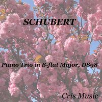 Piano Trio in B-flat Major, D.898: II. Andante un poco mosso - Alfred Cortot & Pablo Casals & Jacques Thibaud & Франц Шуберт