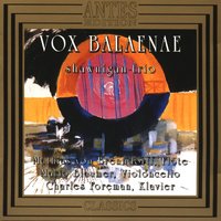 Vox balaenae - Variations On Sea-Time - Shawnigan-Trio & Mathias von Brenndorff & Mario Blaumer & Charles Foreman