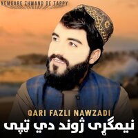 Par Zargi Ye Garza Wama - Qari Fazli Nawzadi