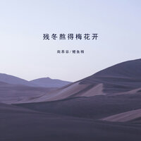 残冬熬得梅花开 - 南慕容 & 鲤鱼精