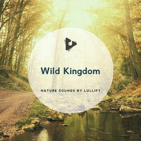 Wanderer - Nature Sounds by Lullify & Nature Sounds