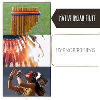 Moon Visions - Native Indian Flute