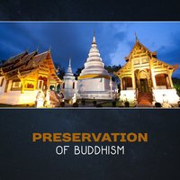 Nature of Mind - Mindfulness Meditation Academy