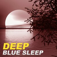 Sleep Relax - Restful Sleep Music Academy