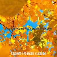 Warm Lucid Dreaming - Relaxing Spa Music Curation