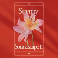 Enchanted Equinox - YK