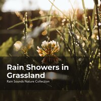 Rain in the Environment - ASMR Rain Sounds & Rain Sounds Nature Collection & Sleepy Rain