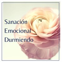 Estado de Tranquilidad - José Perfecto