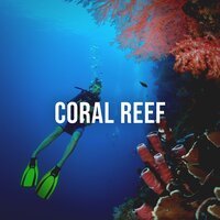 Coral Reef, Pt. 14 - Deep Ocean Relax
