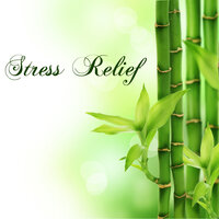 Four Seasons - Stress Relief