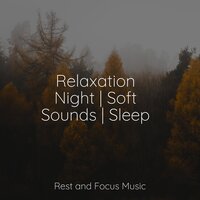 Soft Whispers - The Relaxation Principle & Studying Music & Baby Sleep