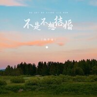 不是不想结婚 - 向千金
