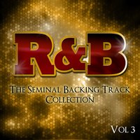 Stay the Same  [Backing Track] - The Professionals