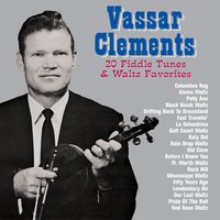 Gulf Coast Waltz - Vassar Clements