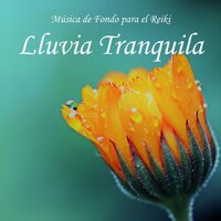 Para el Reiki: Lluvia Tranquila, Pt. 47 - Reiki Armonía