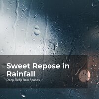 Rain Showers at Night - Deep Sleep Rain Sounds & Rain Sounds Collection & Rain Meditations
