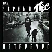 Ты не один - ДДТ