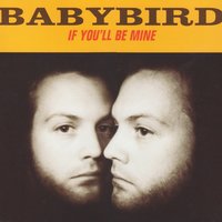 Poolside - Babybird & Stephen Jones & Luke Scott & Robert gregory & John Pedder