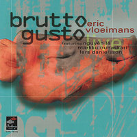 Song - Eric Vloeimans
