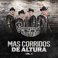 Me Conociste Borracho - Enigma Norteño