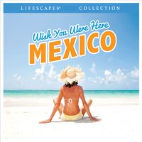The Good Life - Wayne Jones