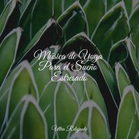 Viento a Través De Los Árboles - Massagem Música & Lluvia Relajante & El hada de las canciones de cuna