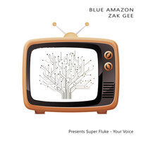 Your Voice - Blue Amazon & Zek Gee