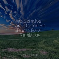 Susurro De Hojas De Primavera - Musica relajante con sonidos de la naturaleza & Música para Massagem Especialistas & Musica Relajante Piano Master