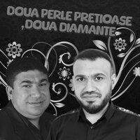 Fetele mele , valorile mele - Stefan de la Barbulesti & Narcis de la Barbulesti