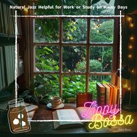 Midnight Rain Serenade - Zippy Bossa