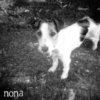 Conscience - Nona