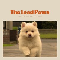 Rippling Reads - Sleeping Music For Dogs