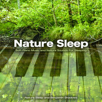 Midnight Feeling - Nature Sleep & Benjamin Shadows