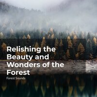 Gentle Wind Breeze - Ambient Forest & Forest Sounds & Rainforest Sounds