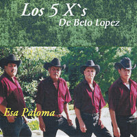 El 24 de Junio - Los 5 X's