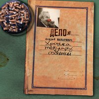Необычайное приключение Андрея Вадимовича и Александра Яковлевича на реке Кишито, бассейн Амазонки, Бразилия - Андрей Макаревич