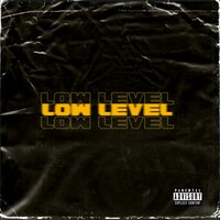 Low Level - REMO