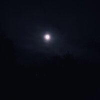 voices - re1bøL