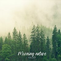 Morning nature - Olexy