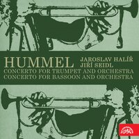 Concerto for Bassoon and Orchestra in F Major: II. Romanza. Andantino e cantabile - Libor Pesek & Dvořák Chamber Orchestra & Jiri Seidl & Иоган Непомук Гуммель