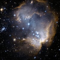 Garden Relaxation - All Night Sleeping Songs to Help You Relax