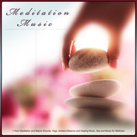 Soft Meditation Music and Nature Sounds - 1 Hour Meditation & Meditation Music & Pure Meditation Music