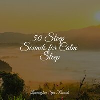 Serenity Waves - Spa & Musica Relaxante & Pro Sounds of Nature