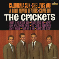 Please Please Me - The Crickets